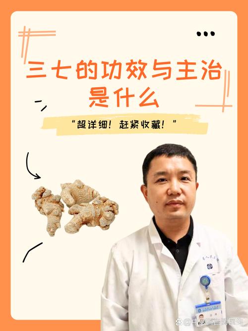 三七定型拦今期正确生肖,三七定型拦今期是什么生肖