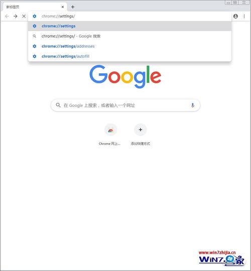关于谷歌浏览器网页入口在线打开网站的信息