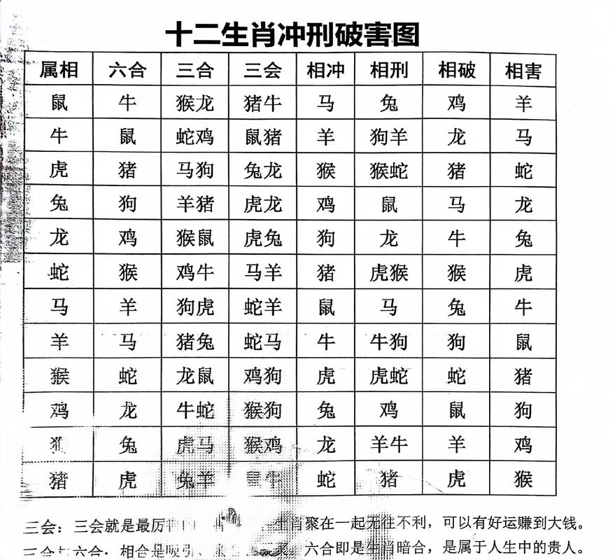 关于兔起羊落鸡狗冲是什么生肖的信息