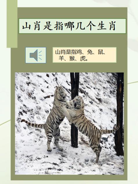 水打一肖是什么生肖呢,水打一肖是什么生肖呢图片