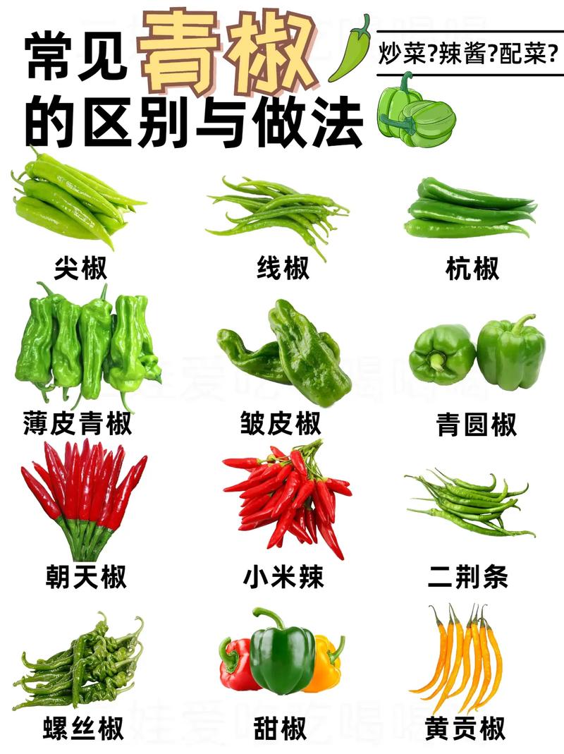 peppers,pepper是胡椒还是辣椒