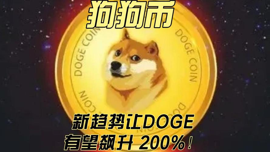 狗狗币今年涨了多少倍,狗狗币今年已上涨100倍