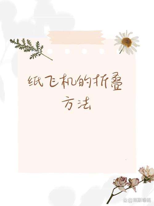 纸飞机电脑版怎么用,电脑纸飞机怎么弄成中文版的