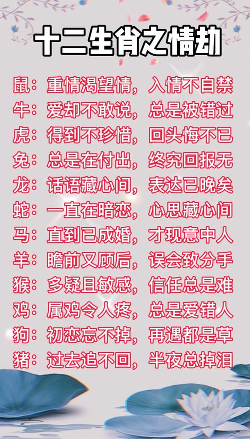 后果字打一最佳生肖,后果褒义词还是贬义词