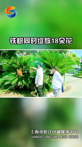 铁树今期开金花最佳答案,公司买车和个人买车能省多少钱