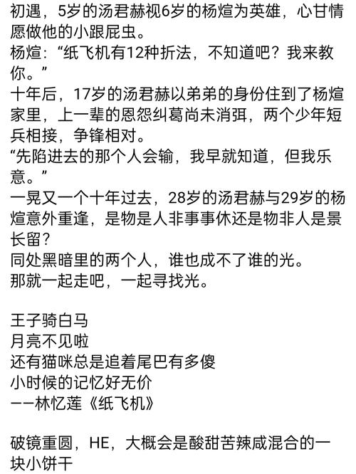 纸飞机小说讲的是什么,纸飞机小说讲的是什么他们是兄弟吗