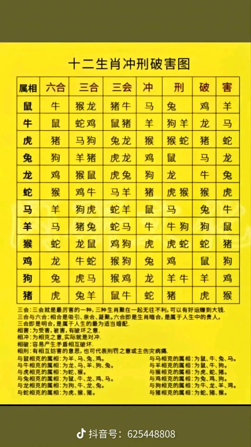 开什么生肖,今天6合开什么生肖