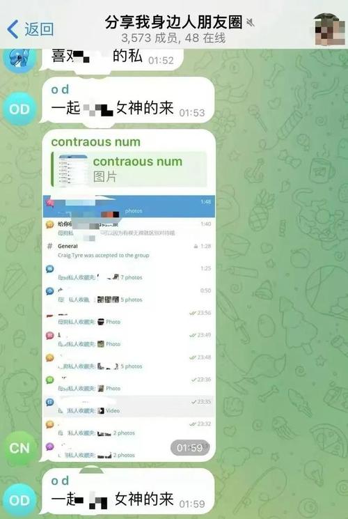 telegram中国版本,电报telegeram中文版