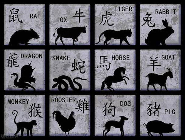 今期二九猜一猜什么生肖,今期特肖是二九打一个数字