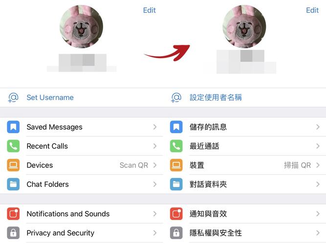 飞机语言怎么变成中文,telegeram怎么弄成中文