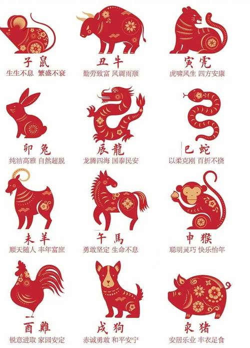 纸打一生肖是什么,纸在十二生肖里代表什么生肖