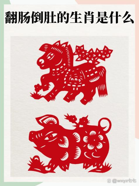 今期生肖最简单代表什么动物,今期生肖最简单代表什么动物呢