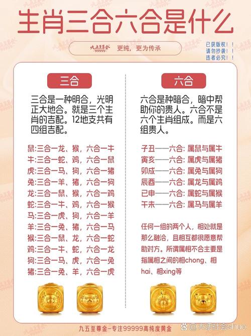 关于“统筹统支”是代表哪个生肖的信息