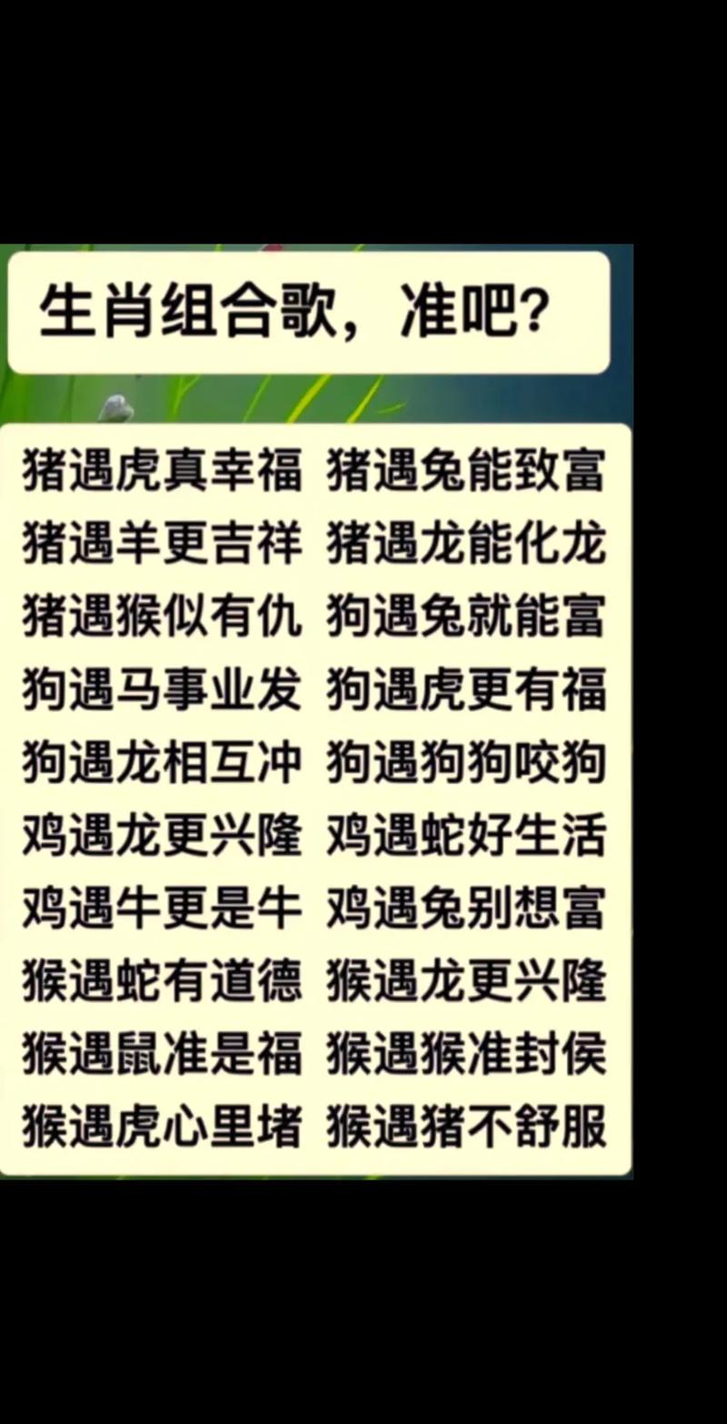 今期生肖无公理最佳答案是什么,今期生肖无狗猴,兔鸡蛇羊中大奖
