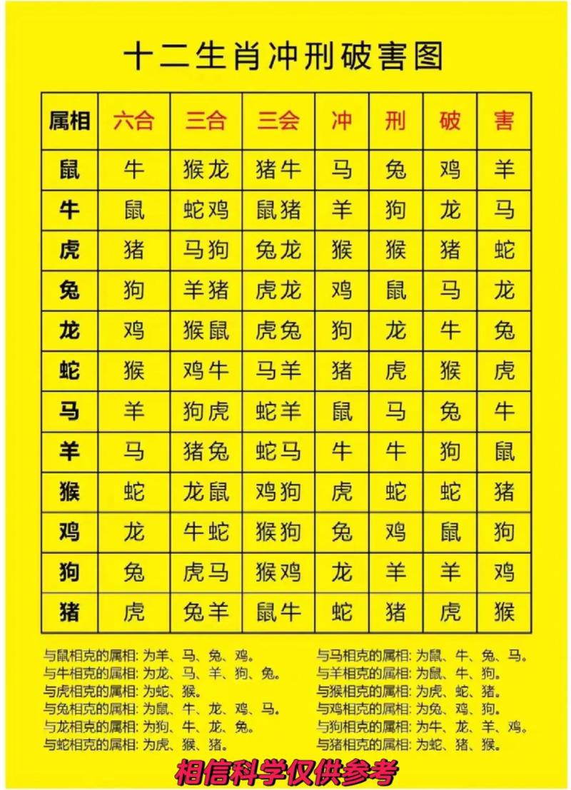 今天什么冲什么生肖,今天什么冲什么生肖2025年2月10日