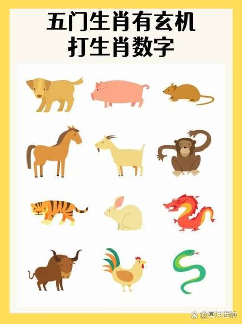 六字出玄机,六字出玄机最准生肖