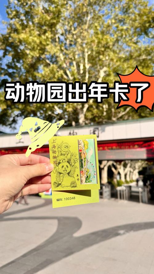 今期待会景色好代表什么动物,80岁以上老年卡上的钱如何消费