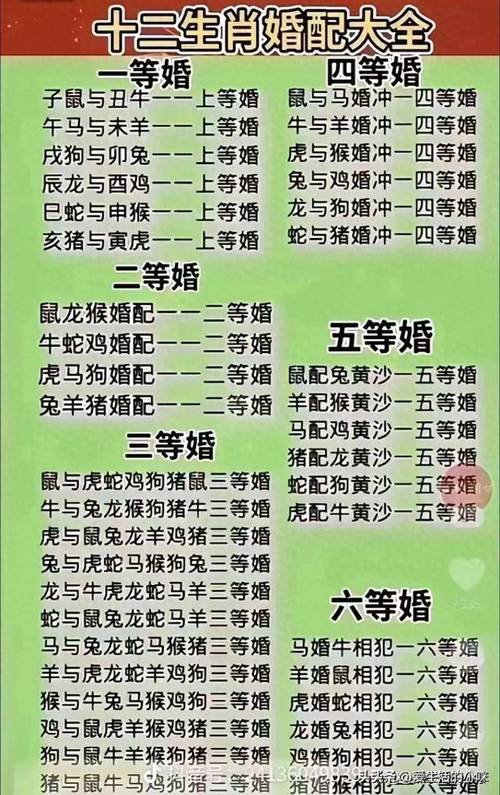 2004年属什么生肖的最佳配偶,2004年属什么生肖的最佳配偶属相