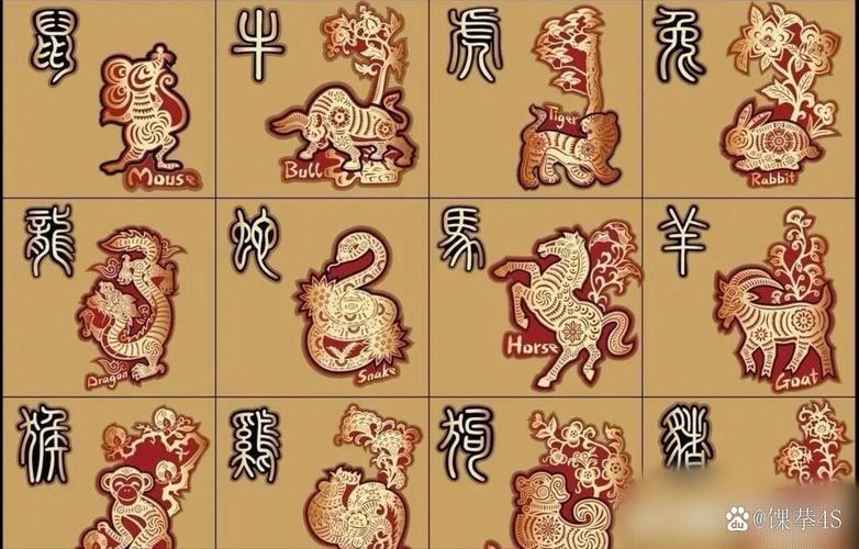 今期生肖无公理是什么意思,今期生肖无公理是什么意思啊