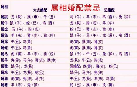 龙和什么生肖最配婚姻,龙和什么生肖最配是上等婚姻