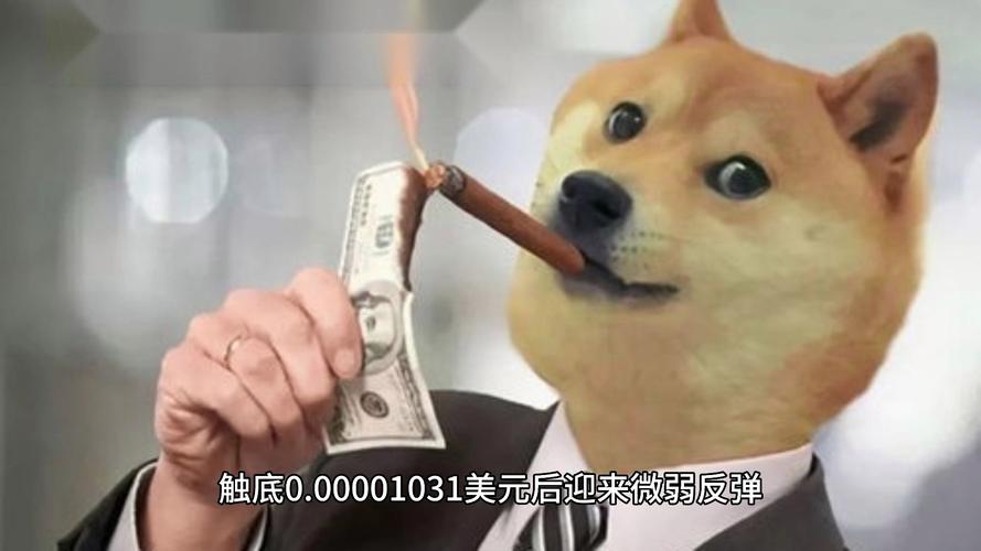 柴犬币,柴犬币被央视点名