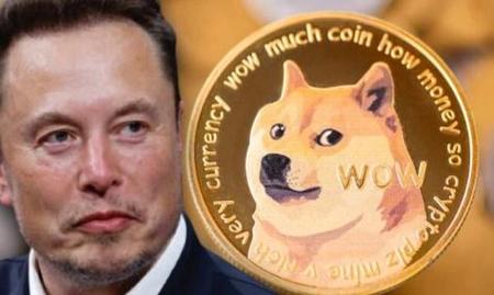 狗狗币多少钱一个,狗狗币多少钱一个最新