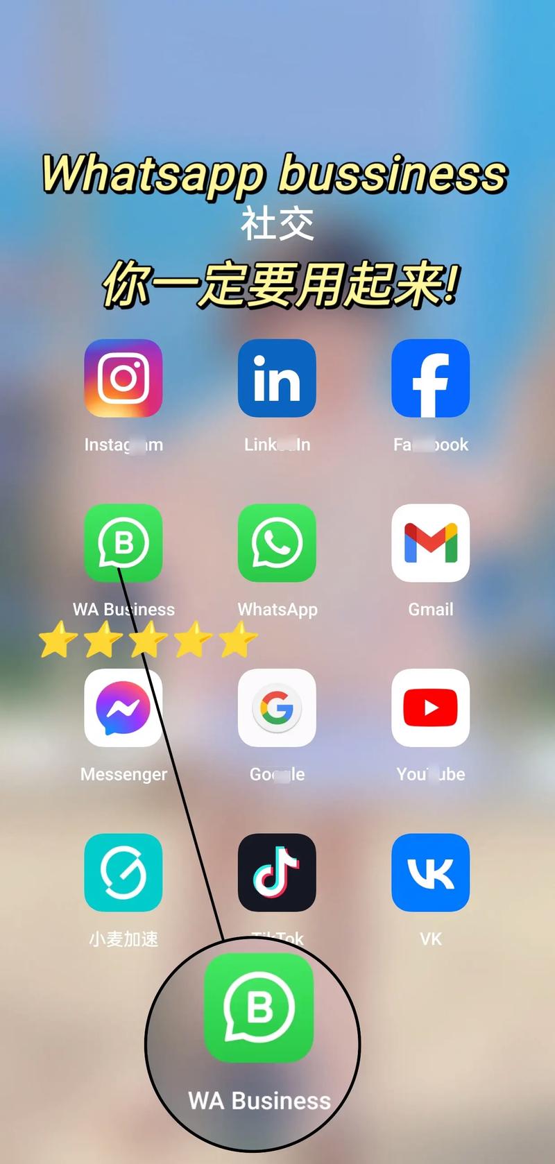 whatsapp2023国际版,whatsapp海外安卓下载最新版