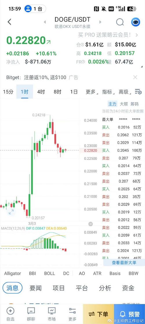 狗狗币2025会涨到多少,2025年币圈大牛市即将爆发