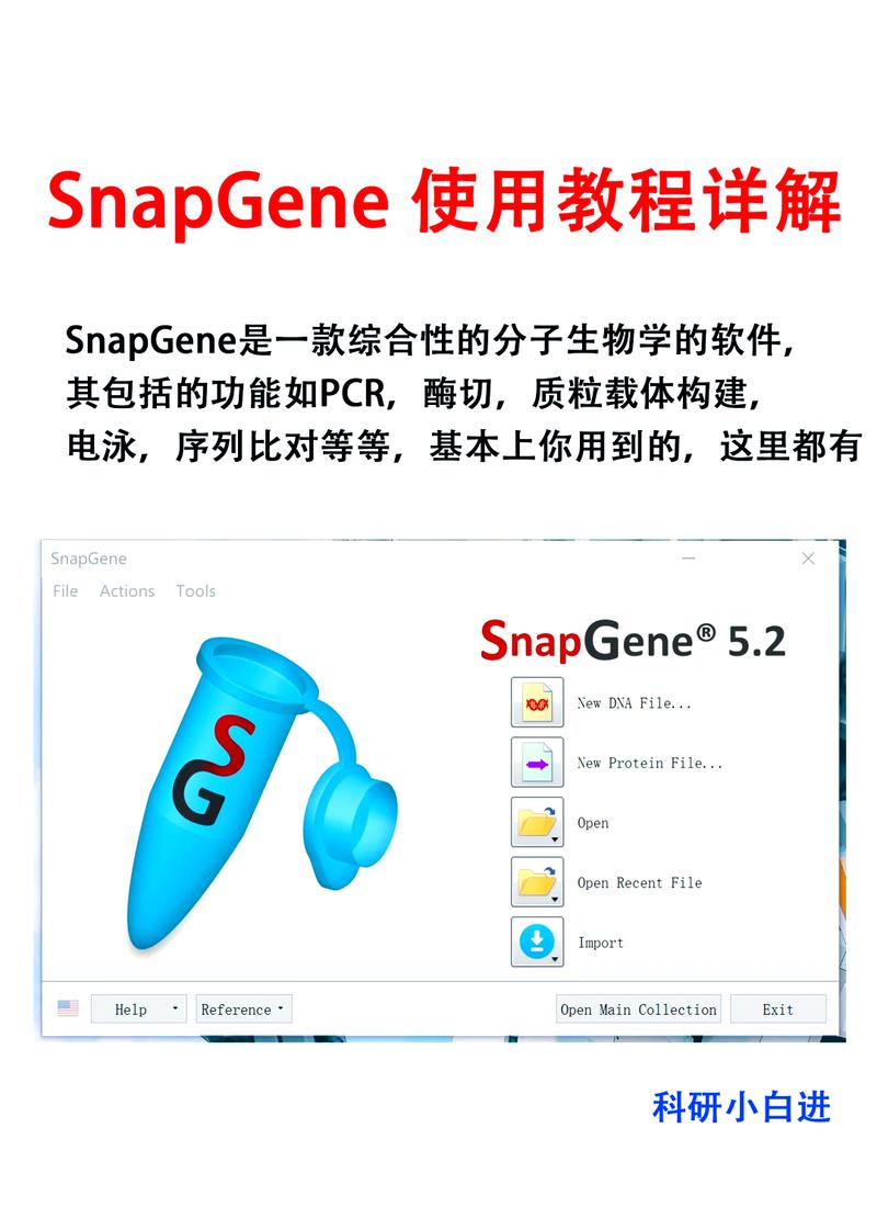 snapgene官网,snapgene infusion