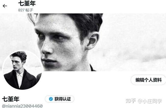 卡尔达诺怎么获得,卡尔达诺cardano项目