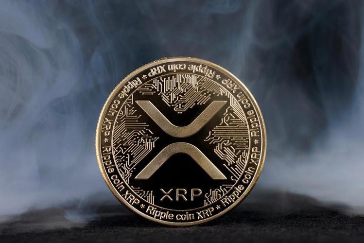xrp瑞波币创始人,xrp瑞波币老板是谁