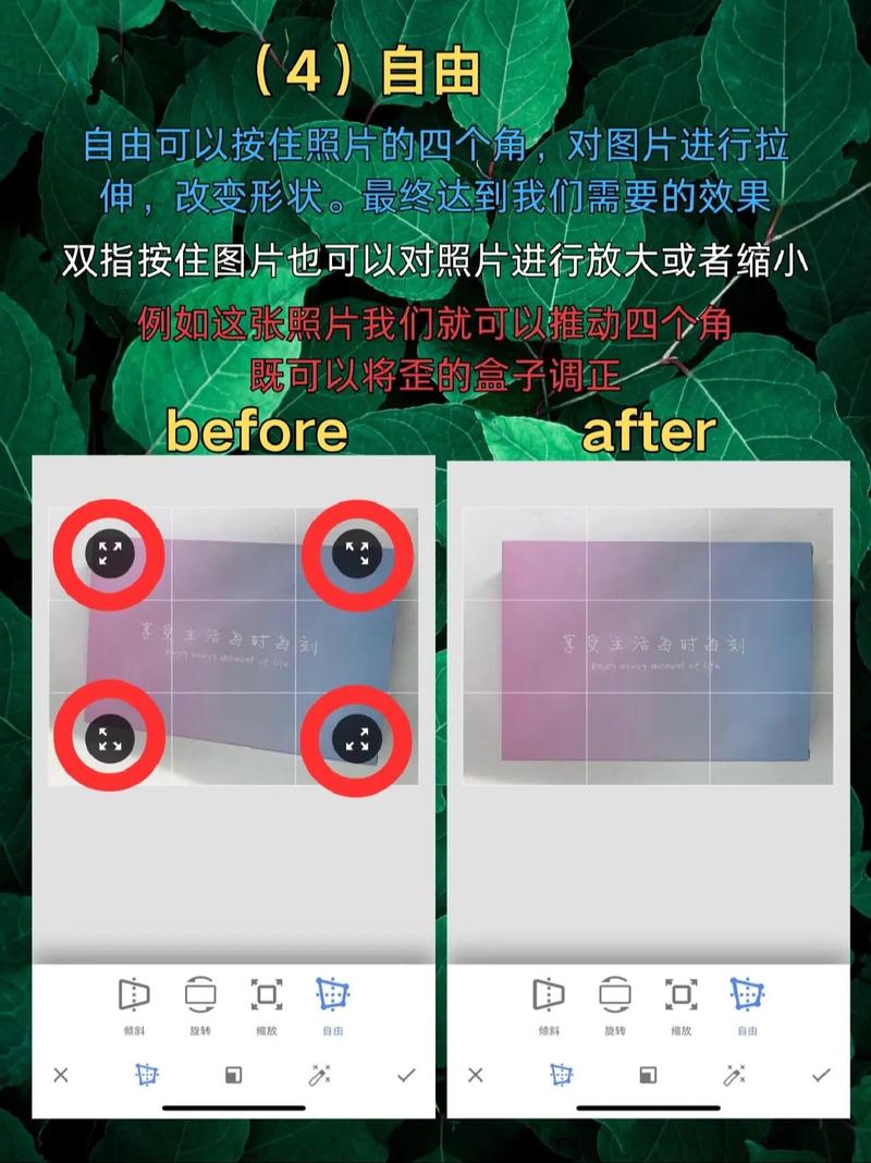 snapchat设置中文教程,snapchat在哪里改中文语言