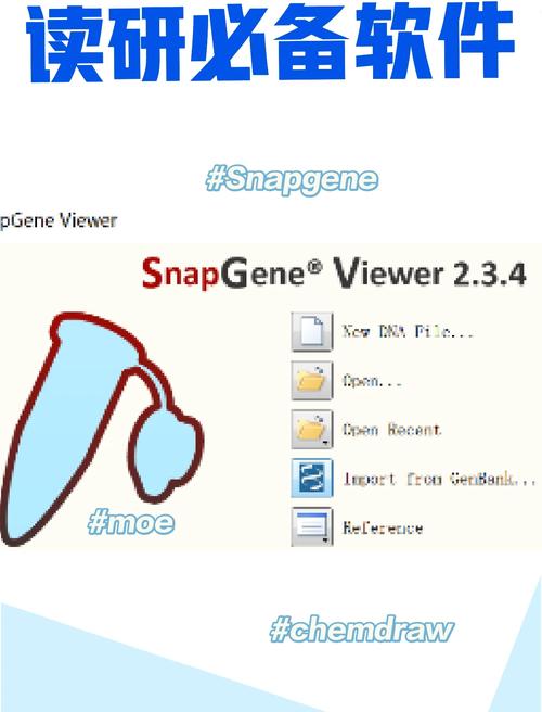 Snapchat是干什么用的的简单介绍