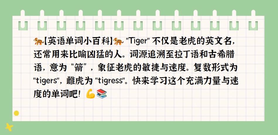 tiger,tiger的中文翻译