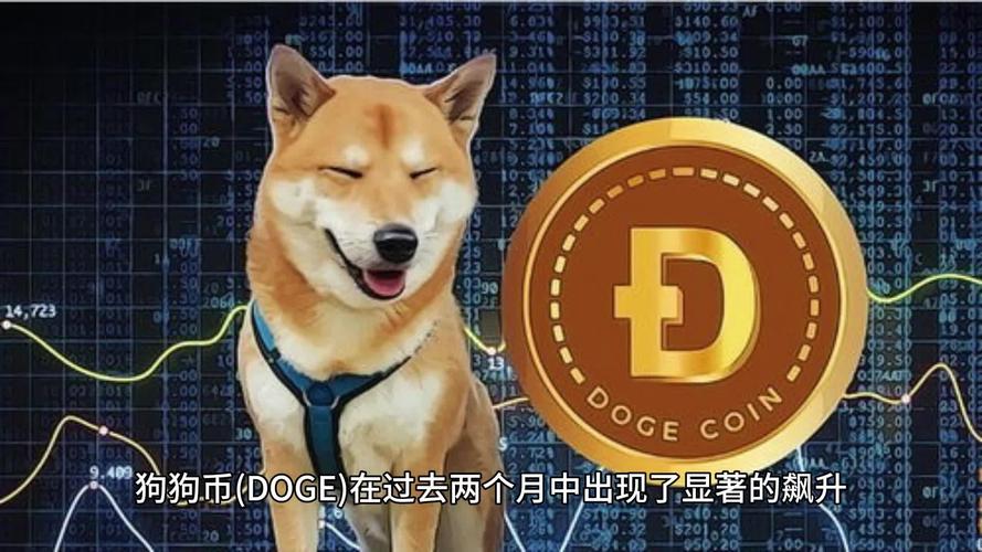 2025狗狗币会暴涨吗,2021年狗狗币未来的升值空间