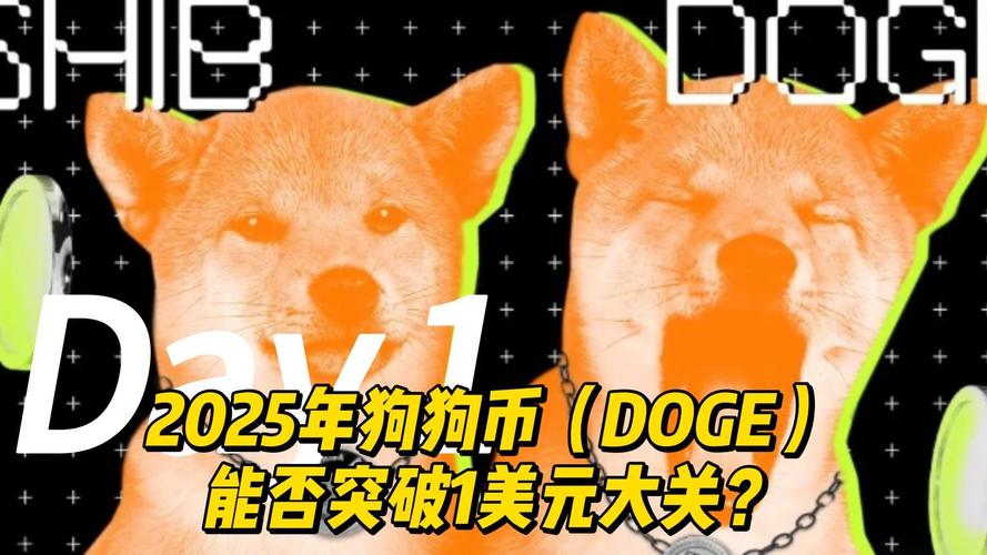 2025狗狗币会涨到30块吗,2021年狗狗币未来的升值空间