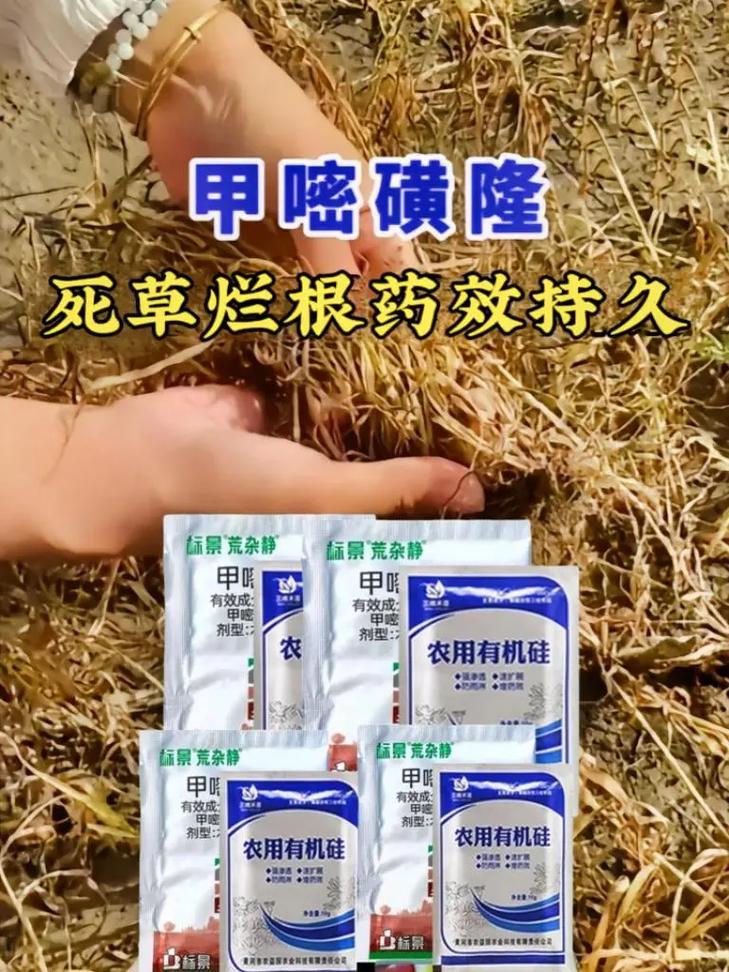 包含甲嘧磺隆10%和75%的哪个好的词条
