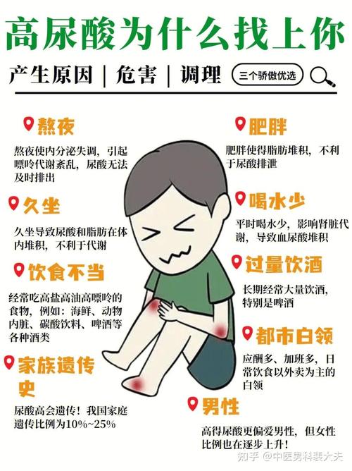 关于什么是尿酸尿酸是怎么形成的的信息