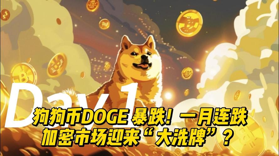 狗狗币的用户涨幅,狗狗币有涨跌幅限制吗