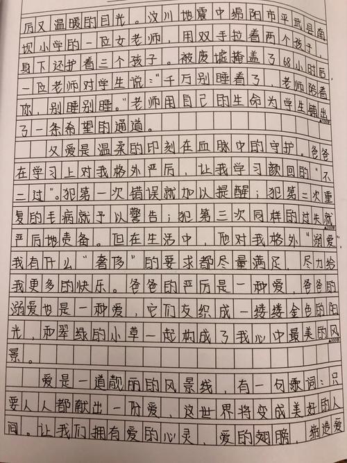 什么是爱作文,什么是爱作文800字高中作文