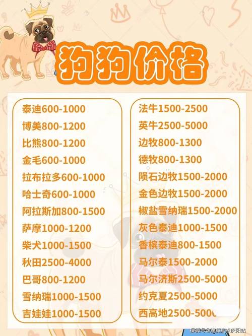 狗狗币实时价格,狗狗币实时价格实时价格
