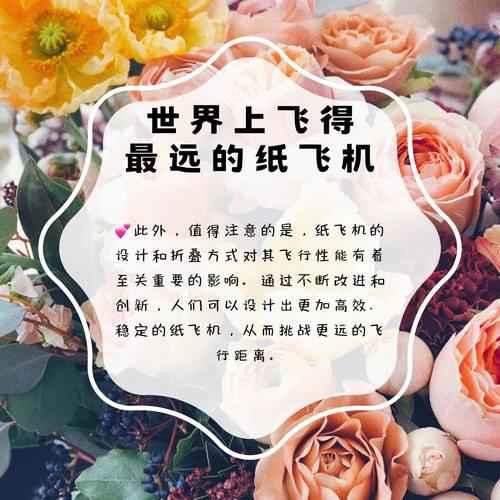 纸飞机官网入口网址,纸飞机john collins的网站