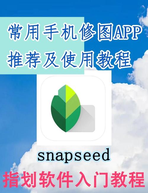 snapseed软件安装,Snapseed软件安装最新版