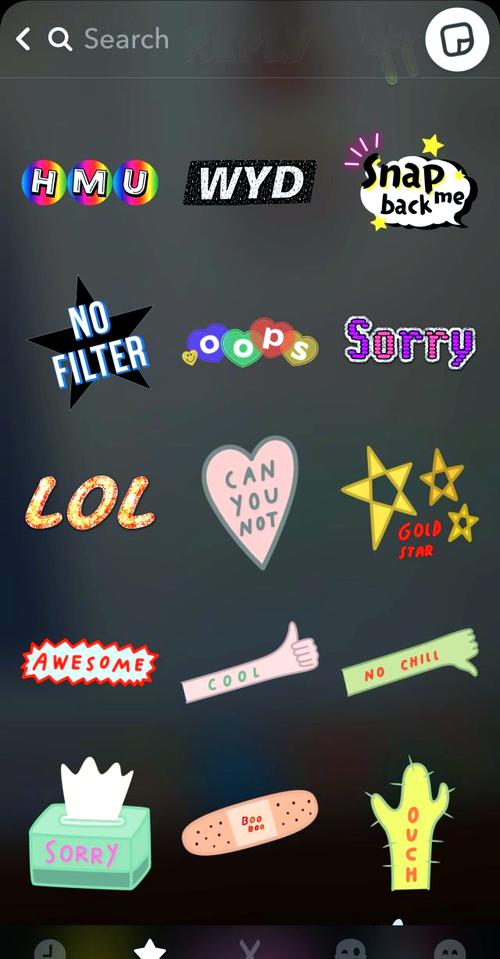 snapchatplus,snapchatplus的读音与翻i圣