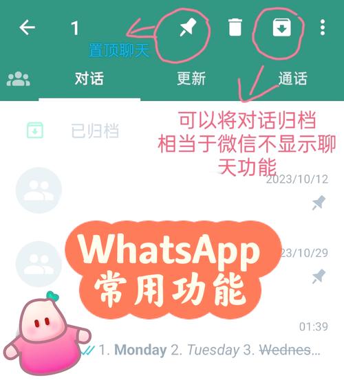 关于whatsapp是什么聊天软件的信息