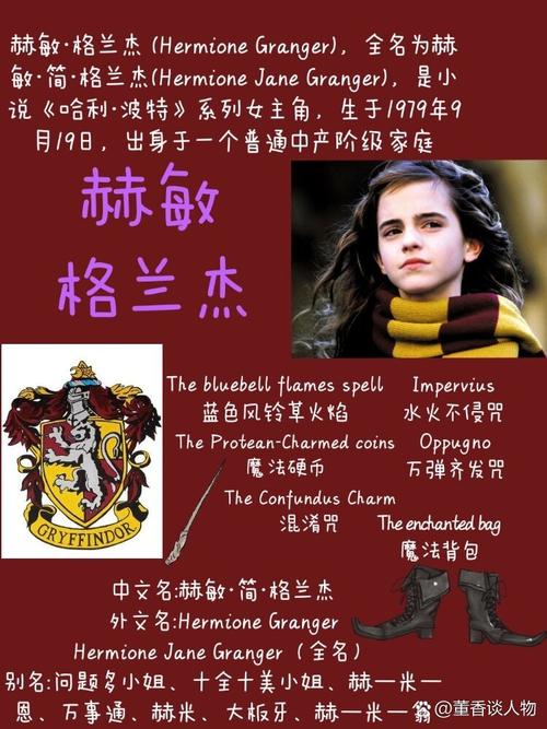 霍格沃茨之堕落的赫敏,霍格沃茨赫敏是哪个学院
