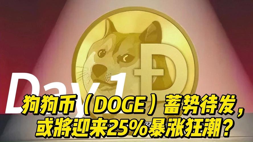 狗狗币一共涨了多少倍,狗狗币有可能涨1000倍吗