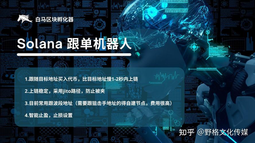 sol链官网,sol链如何使用