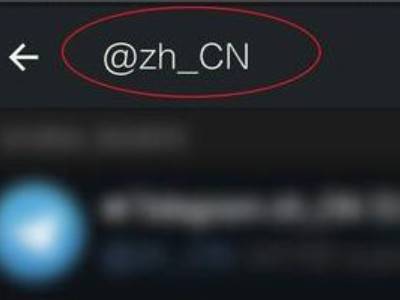 纸飞机ios设置中文(苹果手机telegreat中文设置)