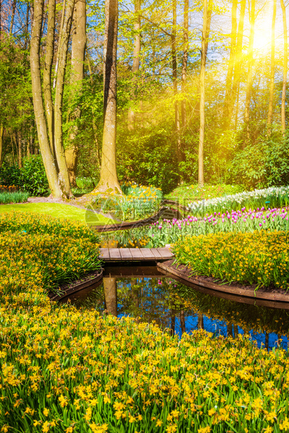 landscape的意思(landscapes是什么意思英语)